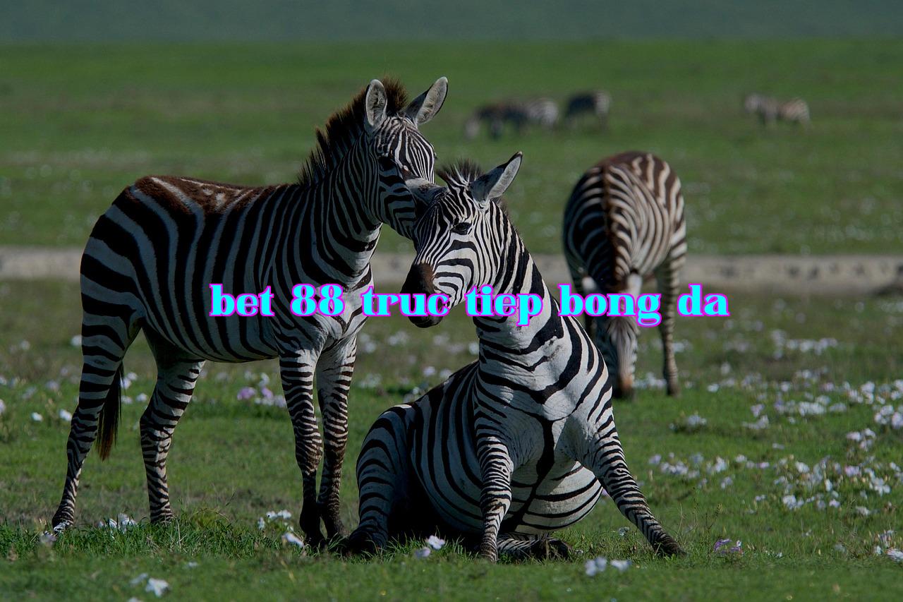 /imgposts/u78gbn4b.jpg